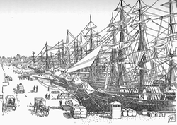 Embarcadero . . . 55