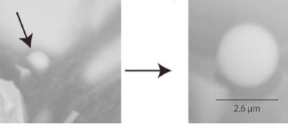 FIG. 34- Fukushima Dai-Ichi  